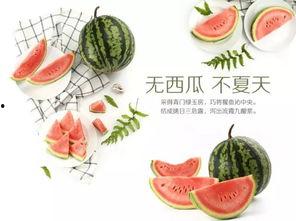 邢台免费吃瓜活动,免费吃瓜活动盛大开启，清凉一夏尽享瓜果盛宴”